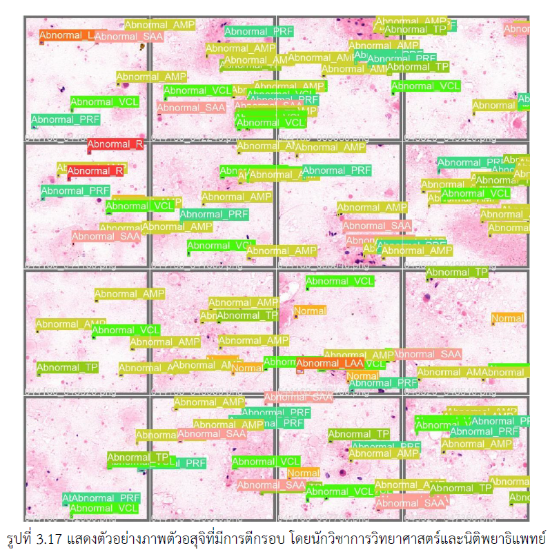 Screenshot-2025-08-05-110706.png